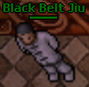 Black belt jiu.PNG