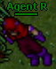 Agent r.PNG