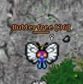 Butterfree.jpg